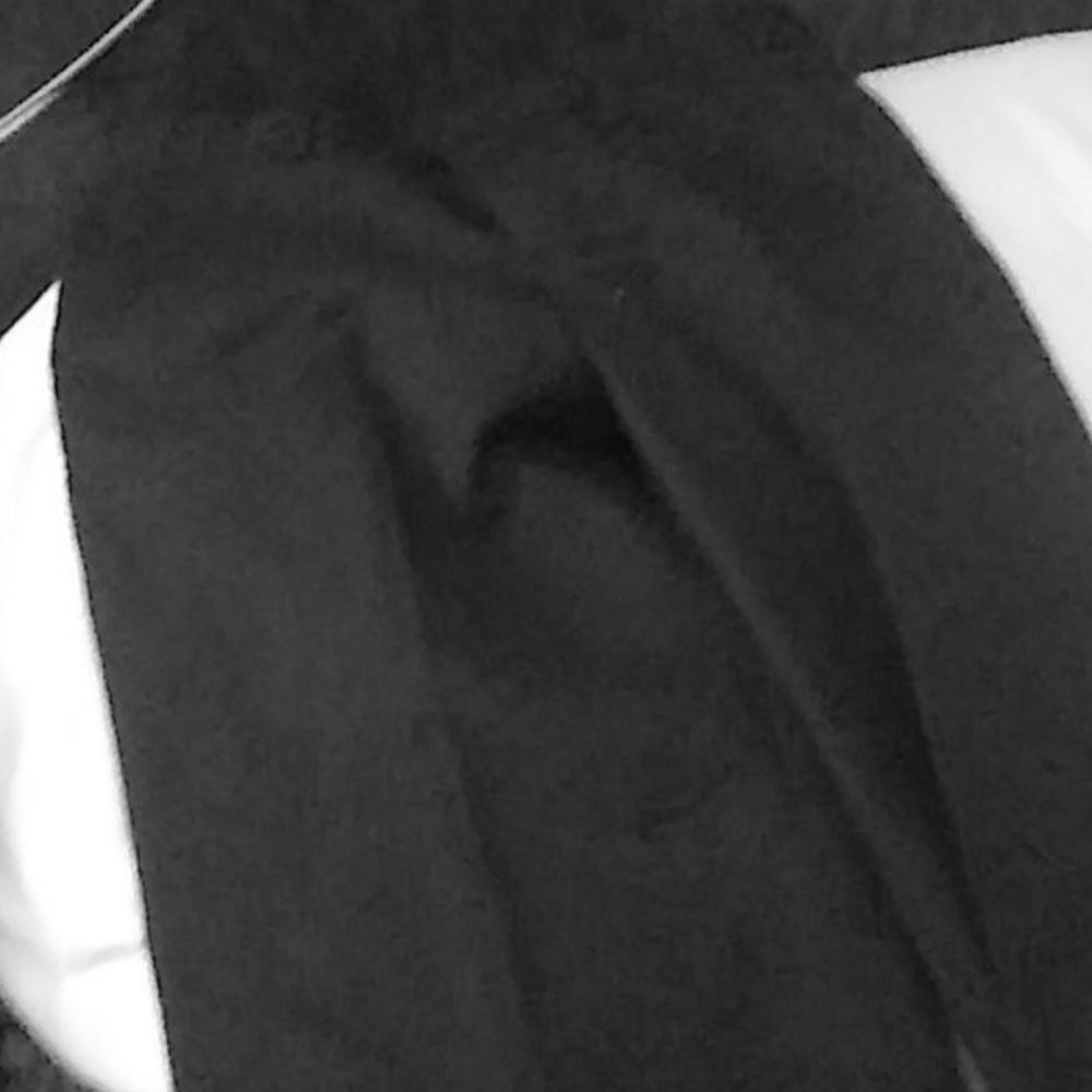 Suit pants